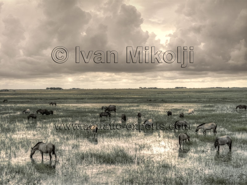 fotos de paisajes de venezuela